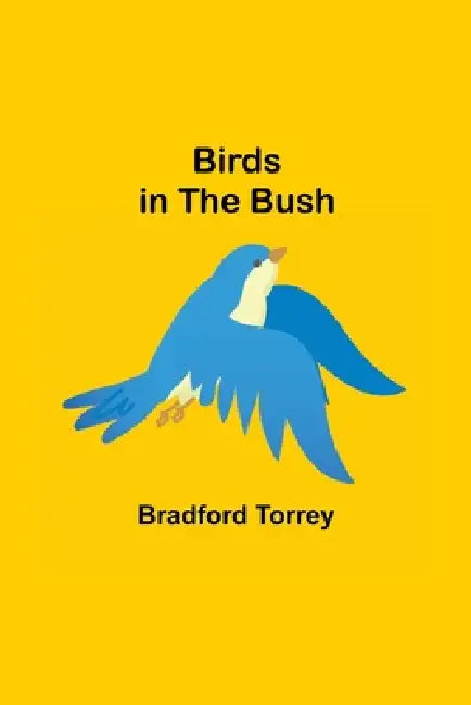 Birds in the Bush by Bradford Torrey