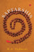 Saptarshis by H. a. Padmini