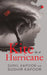 Kite In A Hurricane by Sunil Kapoor & Sudhir Kapoor