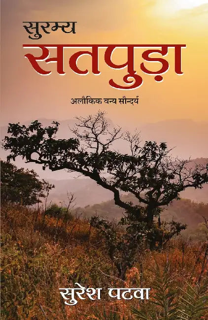 Suramya Satpura by Suresh Patwa