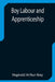 Boy Labour and Apprenticeship by Reginald Arthur Bray