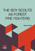 The Boy Scouts As Forest Fire Fighters by Robert Shaler