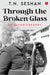 Through The Broken Glass An Autobiography by T.N.Seshan