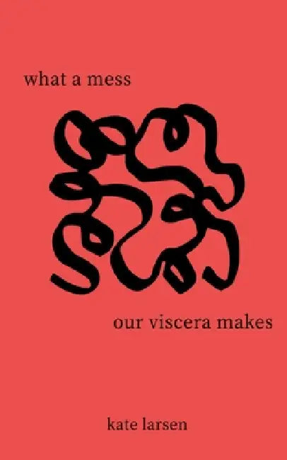 what a mess our viscera makes by Kate Larsen