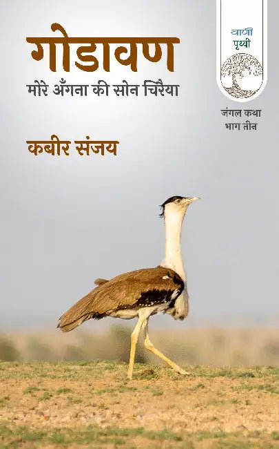 Godavan: More Angana Ki Son Chiraiya by Kabeer Sanjay