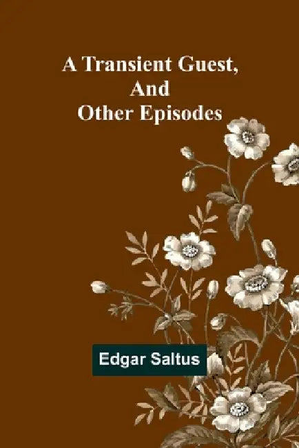 A Transient Guest, And Other Episodes by Edgar Saltus
