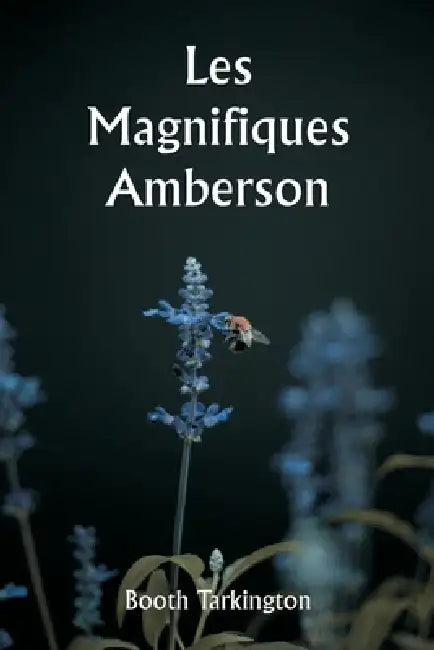 Les magnifiques Amberson by Booth Tarkington