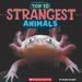 Strangest Animals (Wild World: Top 10) by Brenna Maloney