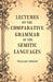 Lectures on The Comparative Grammar of The Semitic Languages by William Wright