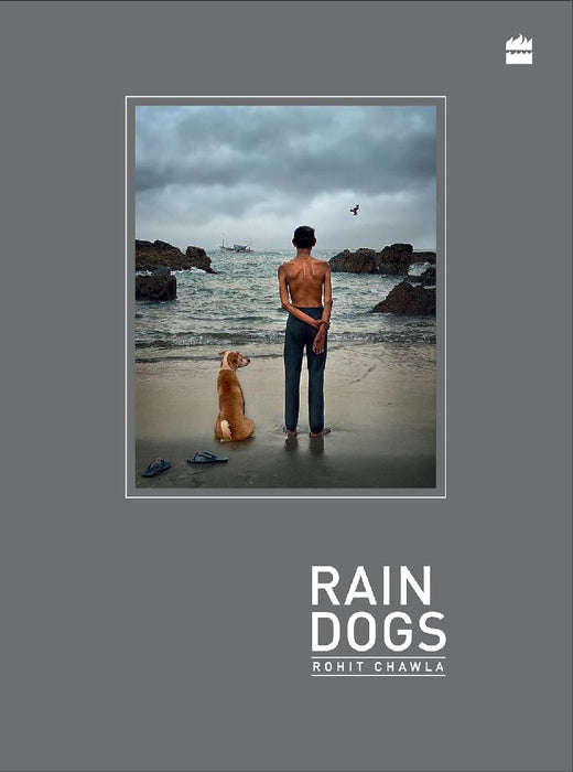 Rain Dogs by Rohit Chawla