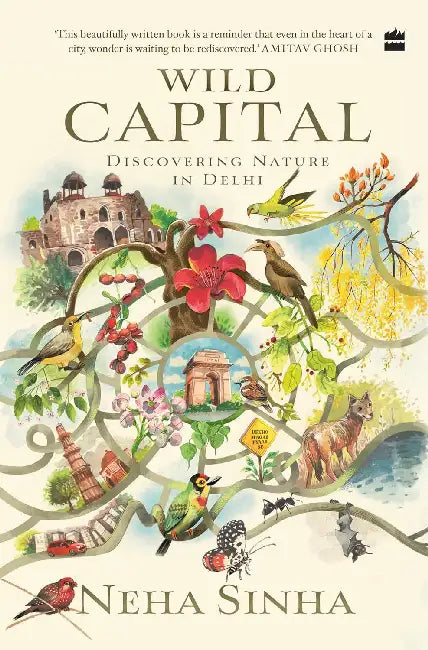 Wild Capital by Neha Sinha