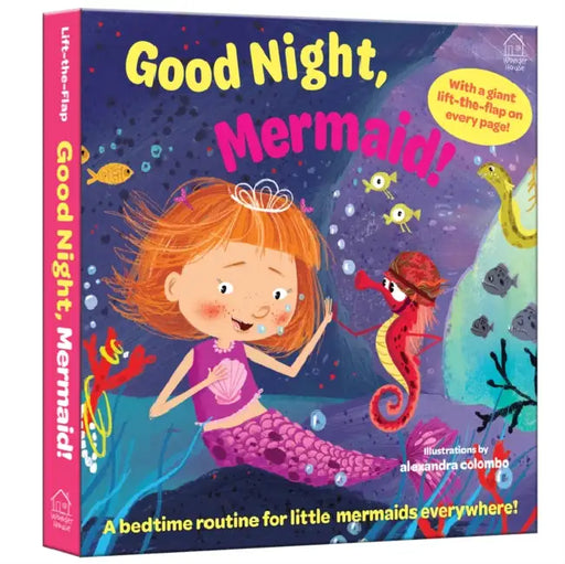 Good Night Mermaid! by Wonder House Books