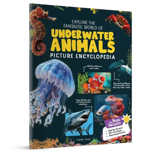 Explore Fantastic World of Underwater Animals Picture Encyclopedia by Wonder House Books
