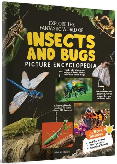 Explore Fantastic World of Insects and Bugs Picture Encyclopedia by Wonder House Books