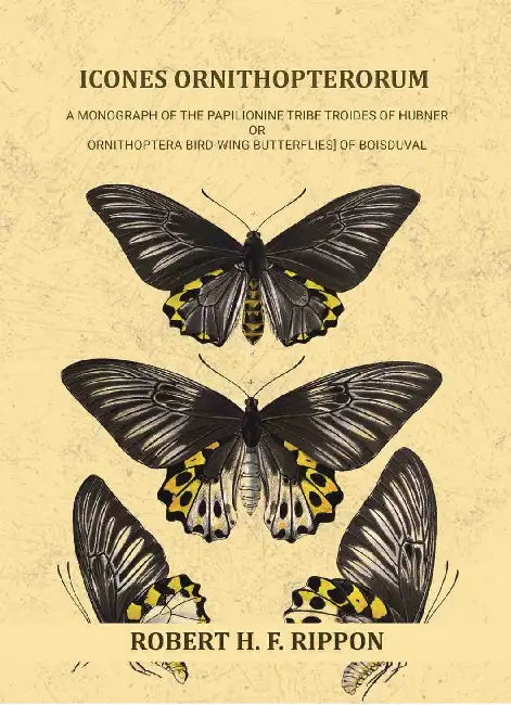 Icones Ornithopterorum A Monograph Of The Papilionine Tribe Troides Of Hubner Or Ornithoptera Of Boisduval by Robert H. F. Rippon