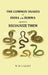 The Common Snakes of India and Burma and How To Recognize Them by W. H. Cazaly