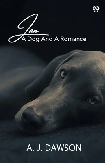 Jan A Dog And A Romance by A. J. Dawson