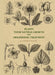 Plants, Their Natural Growth and Ornamental Treatment by F. Edward Hulme