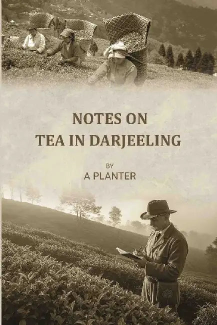 Notes on Tea In Darjeeling {In Undetermined} by Anonymous