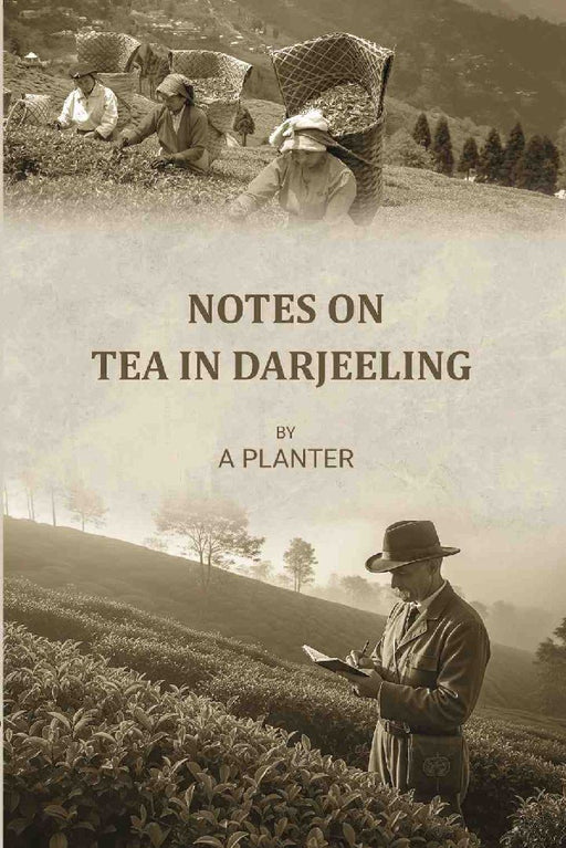 Notes on Tea In Darjeeling {In Undetermined} by Anonymous