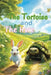 The Tortoise and the Hare Children's Classics by Srivalli