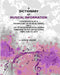 A Dictionary Of Musical Information by John W. Moore