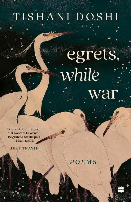 Egrets While War by Tishani Doshi
