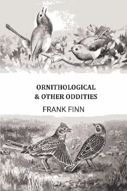 Ornithological Other Oddities by Frank Finn