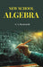 New School Algebra by G. A. Wentworth