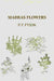 Madras Flowers by P. F. Fyson