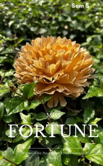 Miss Fortune If I wrote about you, I love and hate you. by Sam S