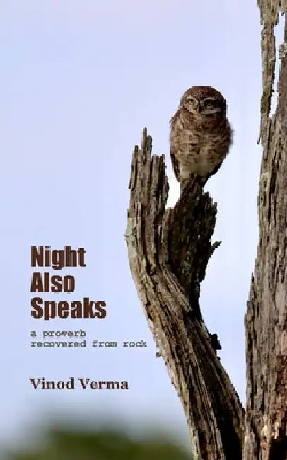 Night Also Speaks A Proverb Recovered From Rock by Vinod Verma