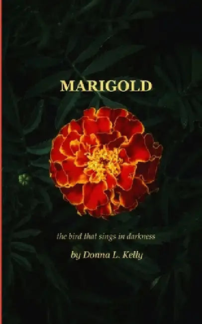 Marigold the bird that sings in darkness by Donna L Kelly