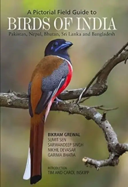 Birds of India - A Pictorial Field Guide by Sharma, Kartik