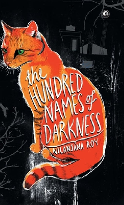 The Hundred Name Of Darkness by Nilanjana Roy