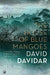 The House Of Blue Mangoes by David Davidar