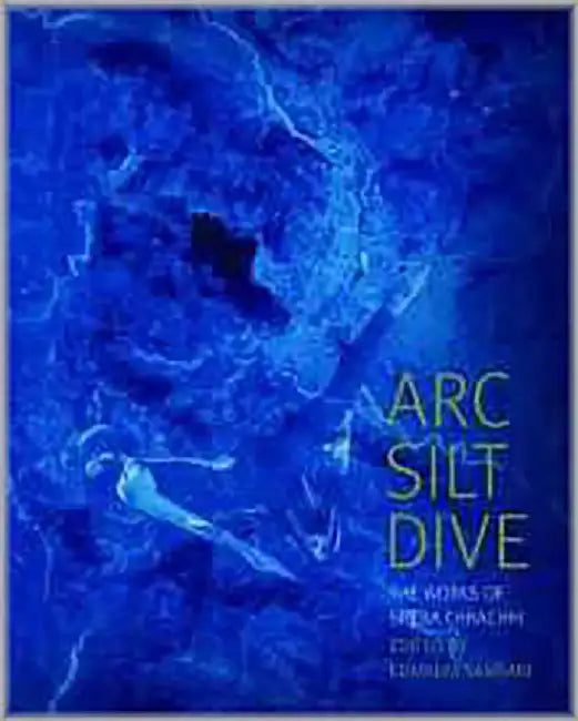 Arc Silt Dive : The Works Of Sheba Chhachhi by Kumkum Sangari