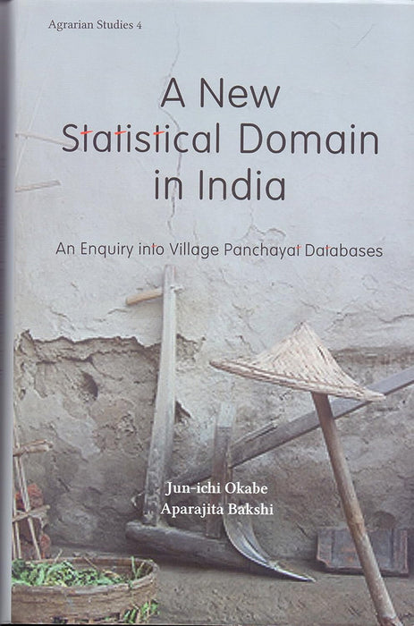 A New Statistical Domain in India: An Enquiry into Village Panchayat Databases