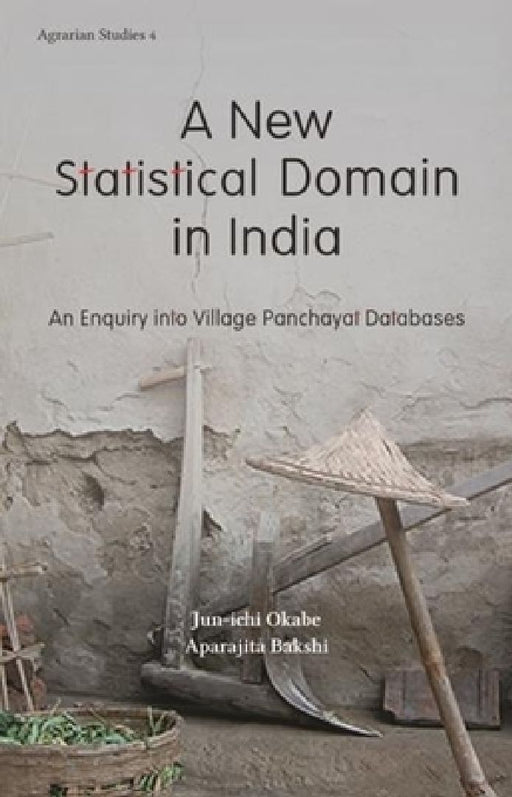 A New Statistical Domain in India: An Enquiry Into Village Panchayat Databases by Jun-ichi Okabe, Aparajita Bakshi