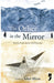 The Other in the Mirror by Sehyr Mirza