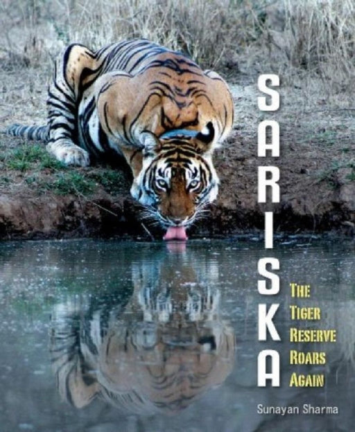 Sariska by Sunayan Sharma