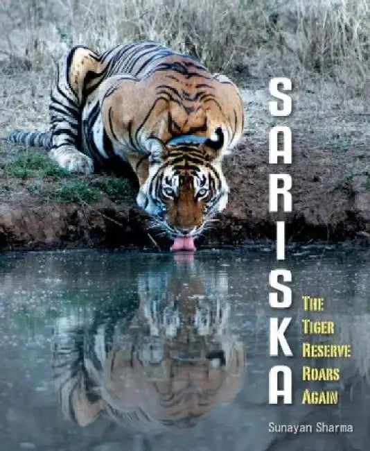 Sariska by Sunayan Sharma