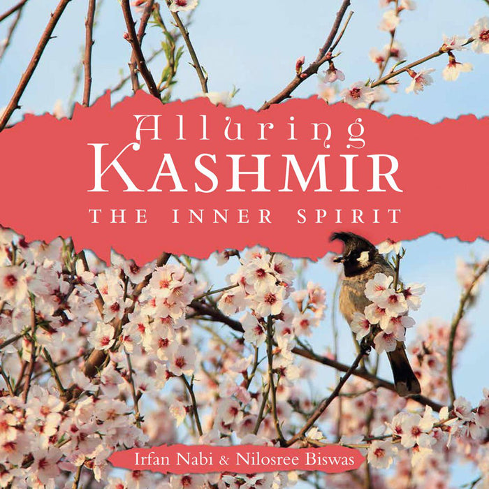 Alluring Kashmir: The Inner Spirit by Irfan Nabi