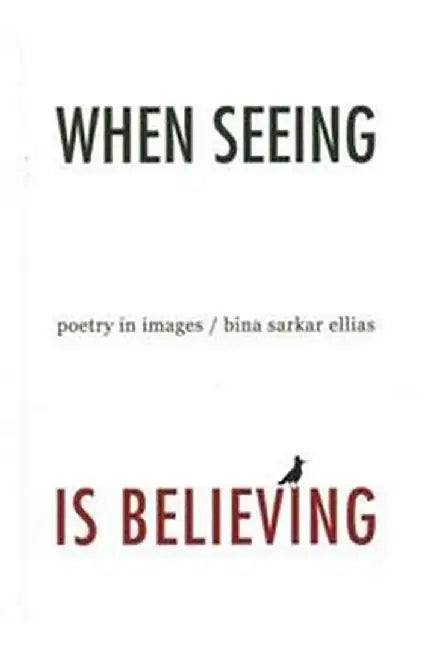 When Seeing is Believing: Poetry in Images by Bina Sarkar Ellias