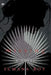 Missing A Novel by Sumana Roy