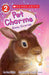 Bunny Surprise - Scholastic Reader, Level 2: Pet Charms #02 by Amy Edgar
