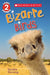 Bizarre Birds - Scholastic Reader Level 2 by Sandra Horning