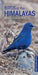 Birds Of The Himalayas by Bikram Grewal