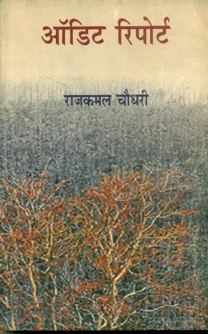 Audit Report by Rajkamal Choudhary