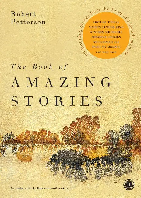 The Book of Amazing Stories by Robert Petterson